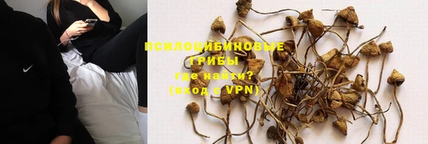 ешки Алексеевка