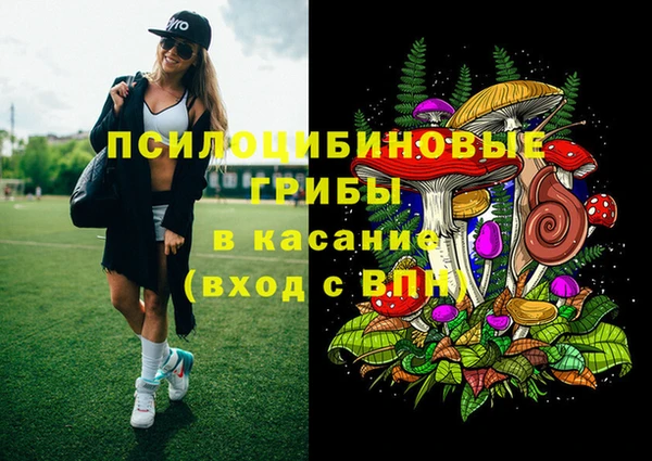 мет Алексин