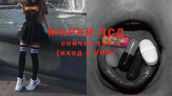 мет Алексин