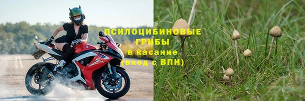 мет Алексин