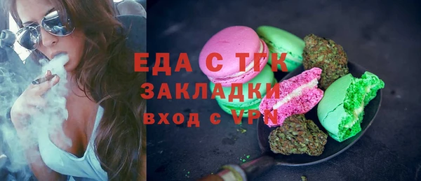индика Алагир