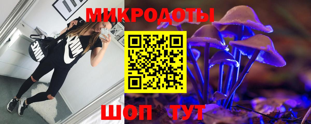 Кизилюрт  Псилоцибиновые грибы Cubensis  Галлюциногенные грибы Psilocybine cubensis  Вход с VPN 