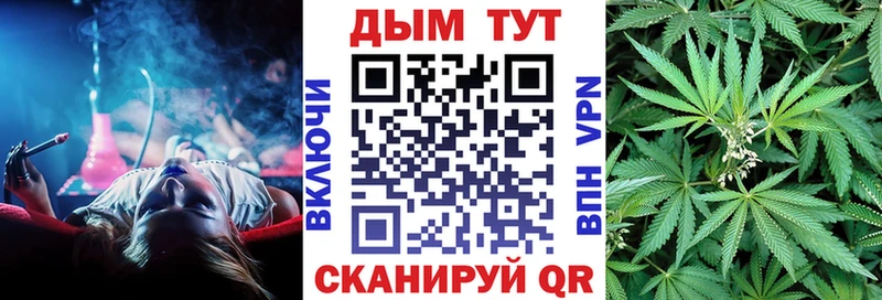 Бошки Шишки семена  Кизилюрт 